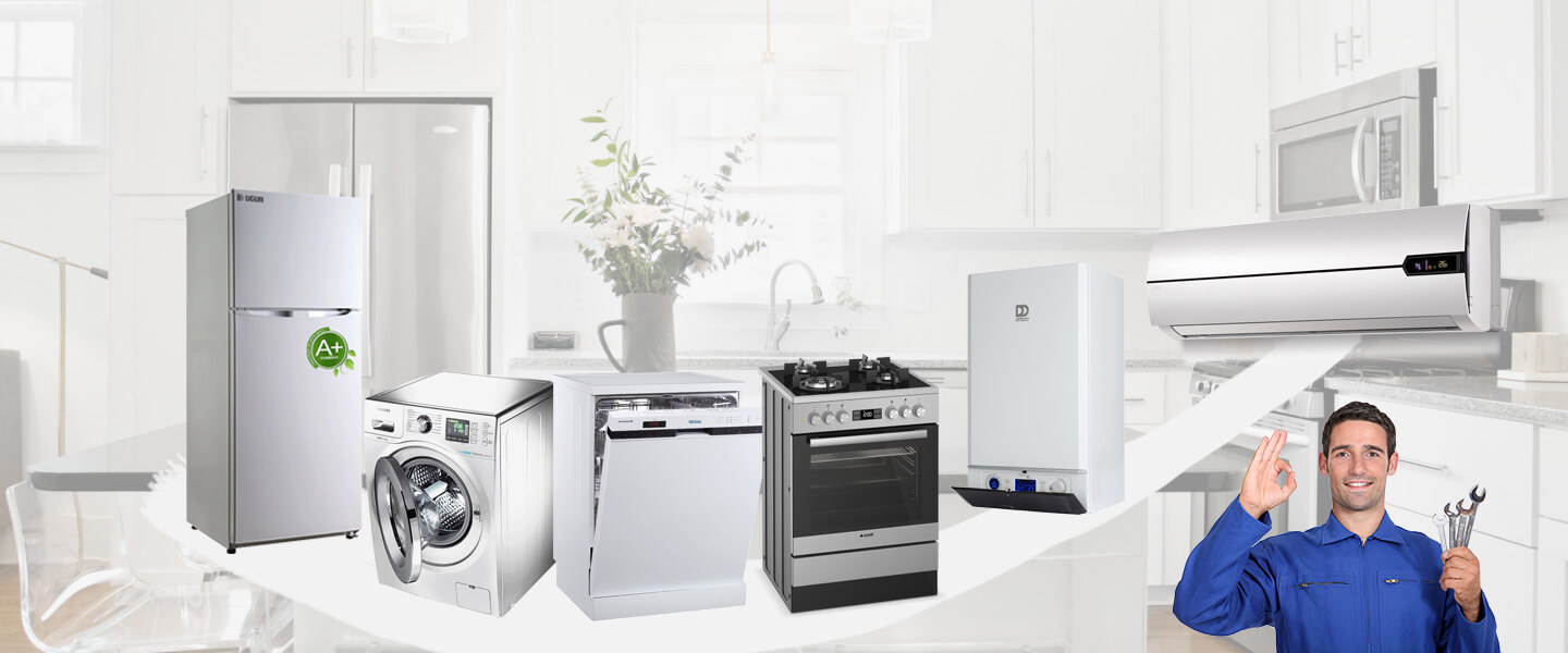Burhaniye Electrolux Servisi